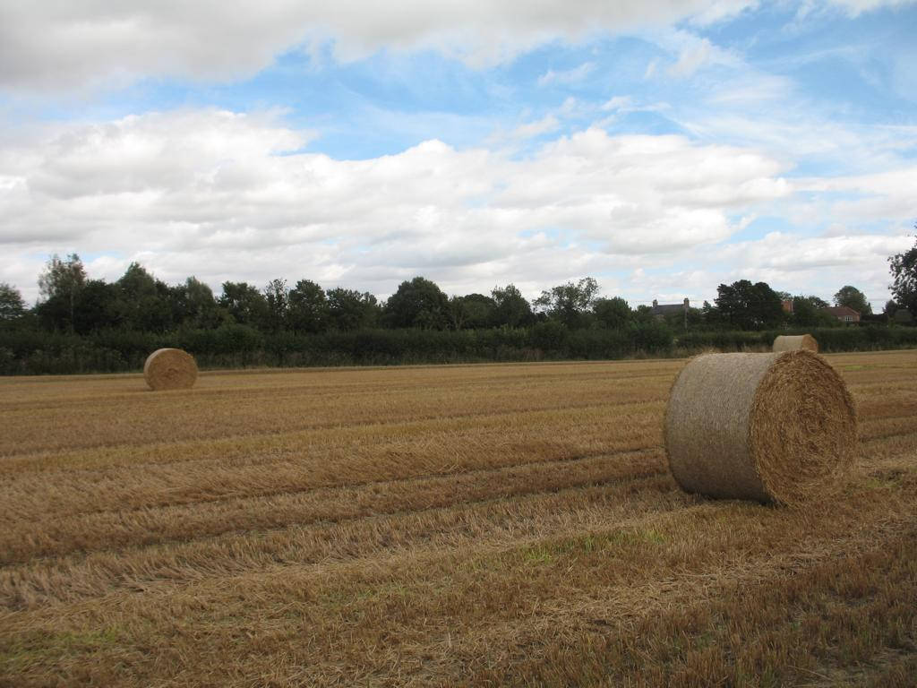 Osten; view east