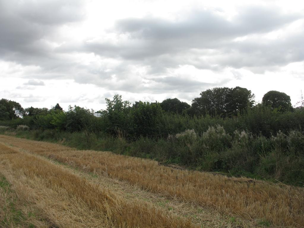 Süden; view south