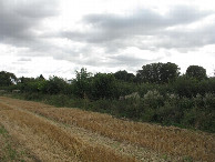 #3: Süden; view south