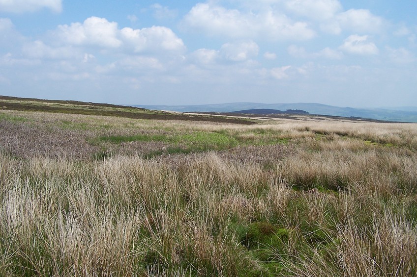 General view of the confluence (towards E)