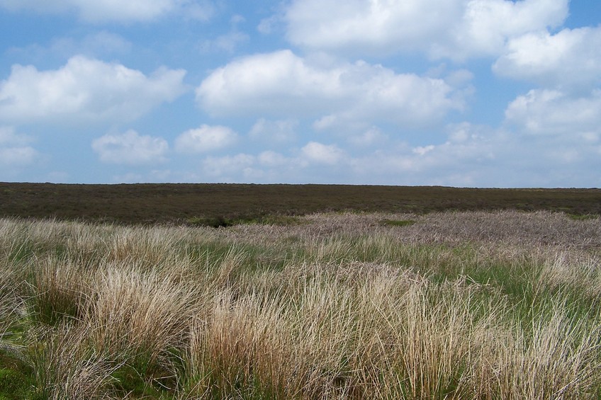 View towards N from the confluence