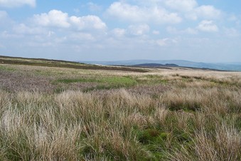 #1: General view of the confluence (towards E)