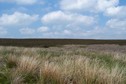 #4: View towards N from the confluence