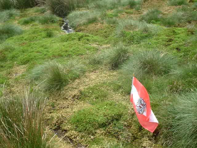 the point is supposed to be between the flag and the small bog