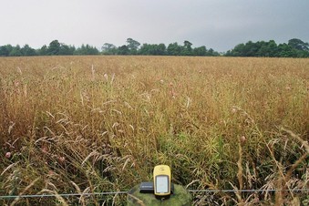 #1: the confluence point, 113 m away in the field, looking south