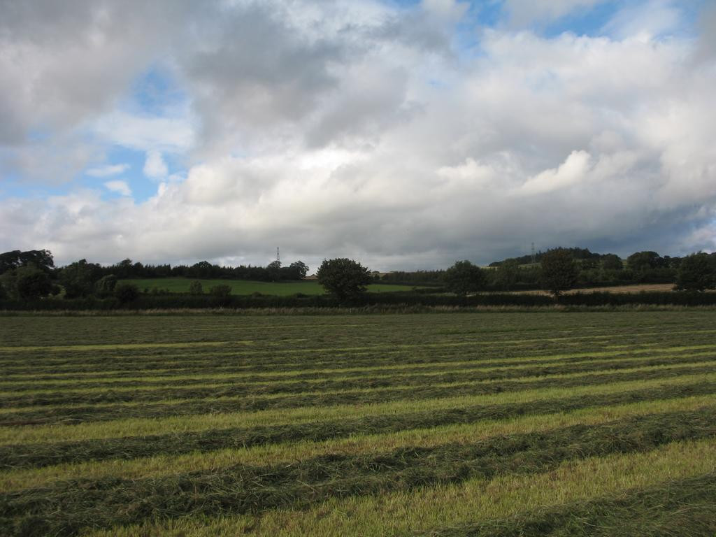 Norden; view north