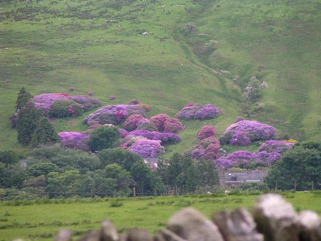 driving along the path of the Hadrian's Wall