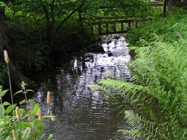 a small river about 400 metres SW of the confluence