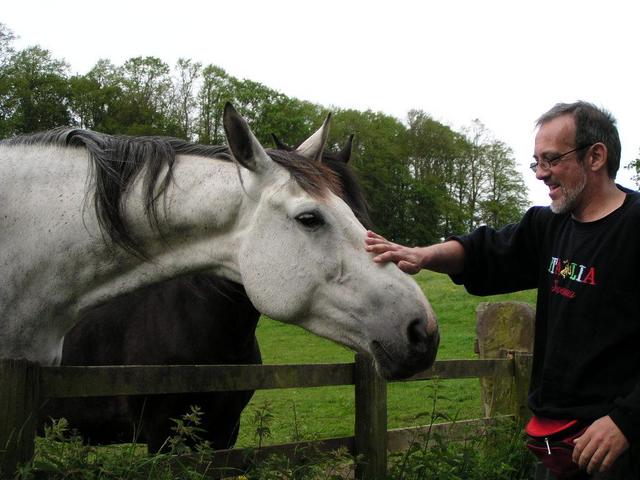 Captain Peter and two horses