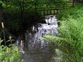 #4: a small river about 400 metres SW of the confluence