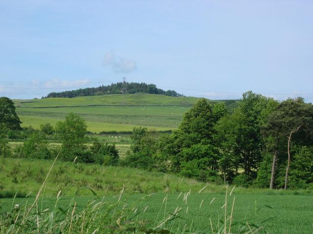 Looking north from the road on the 7th during the harvesting