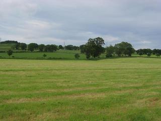 #1: General view on the way out from the visit