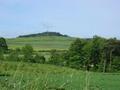 #2: Looking north from the road on the 7th during the harvesting