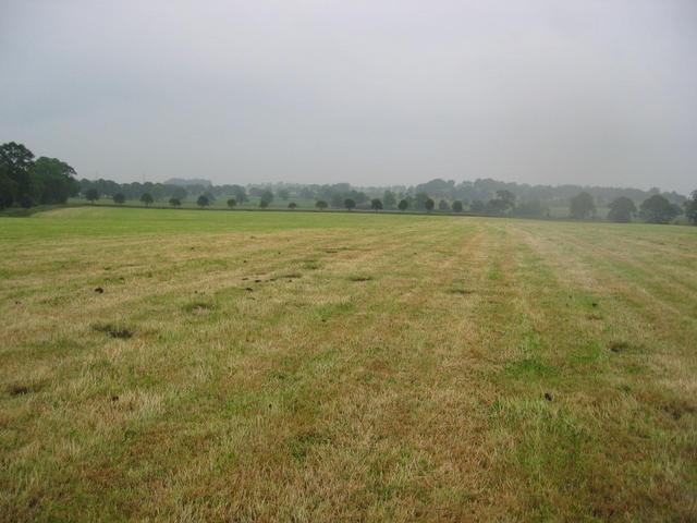 The Confluence as seen from 50 m West