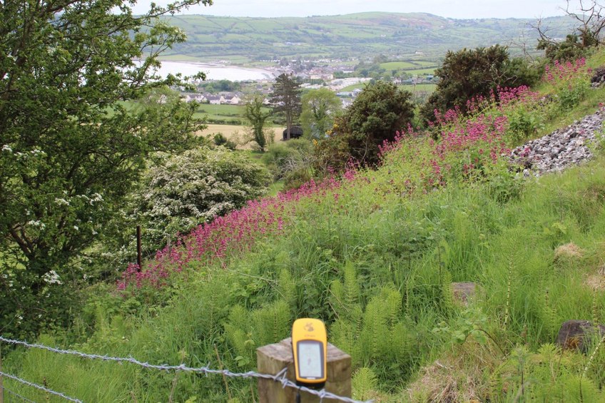 Looking in direction to the confluence