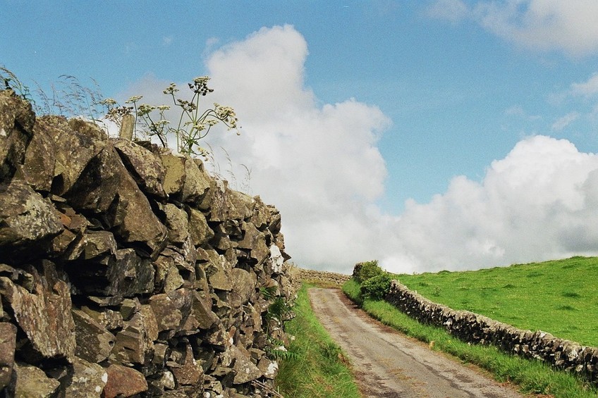 way to the CP, looking south