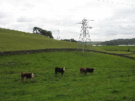 #3: Süden; view south