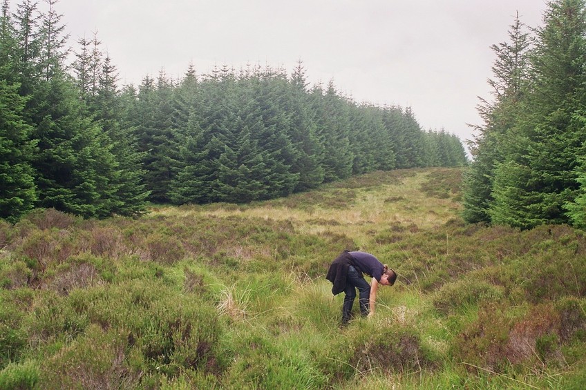 dense spruce forest, 150 m away from the CP