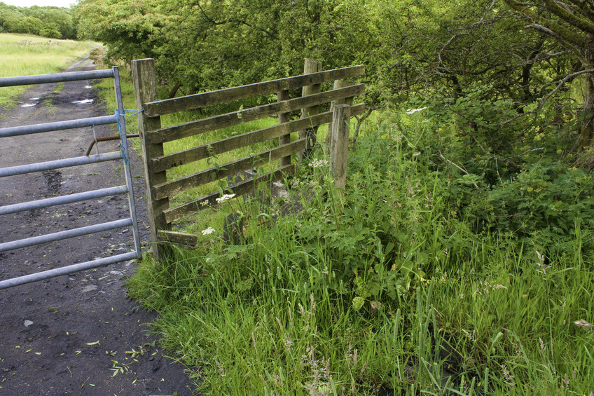 There's a stile here somewhere