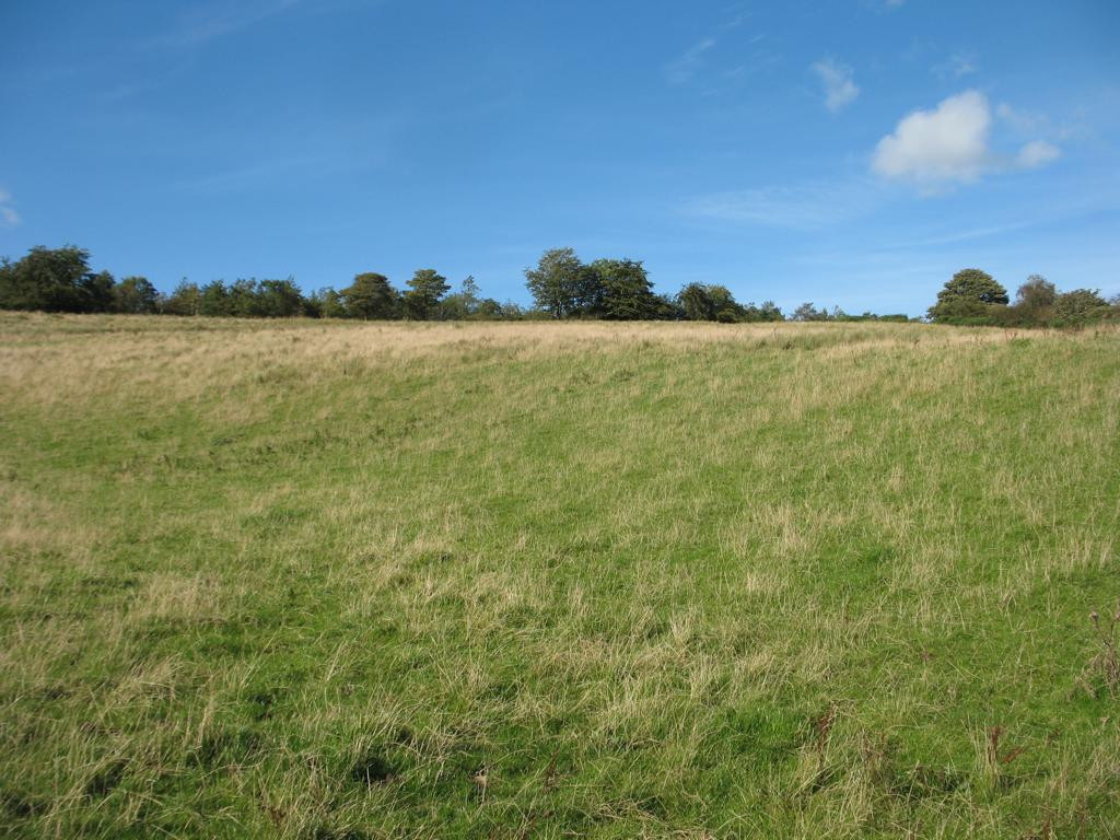 Norden; view north