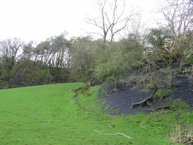 Colliery waste bings (tips) 300m south of the confluence