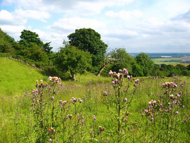 The Confluence as seeb from 40m North-West