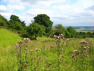 #1: The Confluence as seeb from 40m North-West