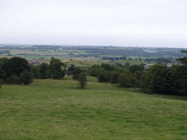 the view from just below the confluence