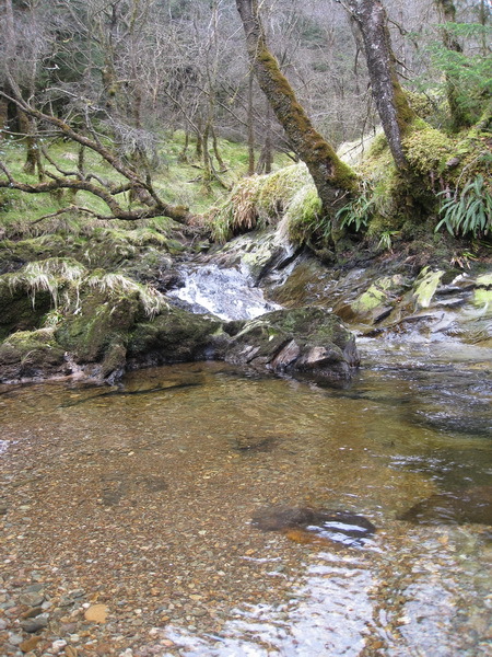 Nice spot for a dip