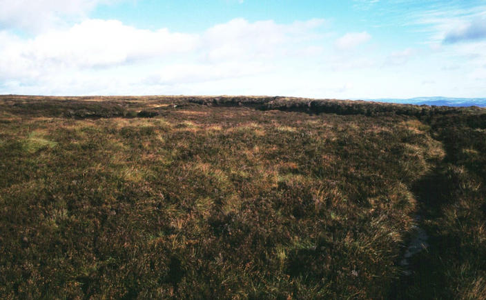 Looking North, a peat bank, and the distant Aberdeenshire top of Bennachie.