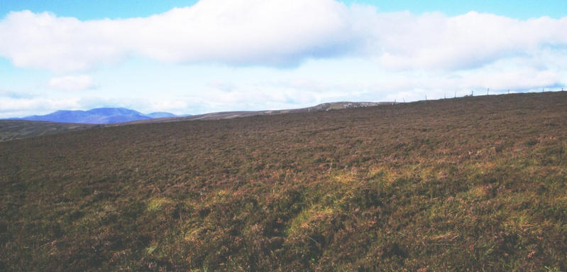 West, Lochnagarin the distace, the ruined March Fence that divides Glen Tanar and Glen Muick Estates.