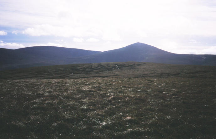 Monadh Caoin/Mount Keen (939m) from the Confluence. The drove road passes to the right of the summit cairn.