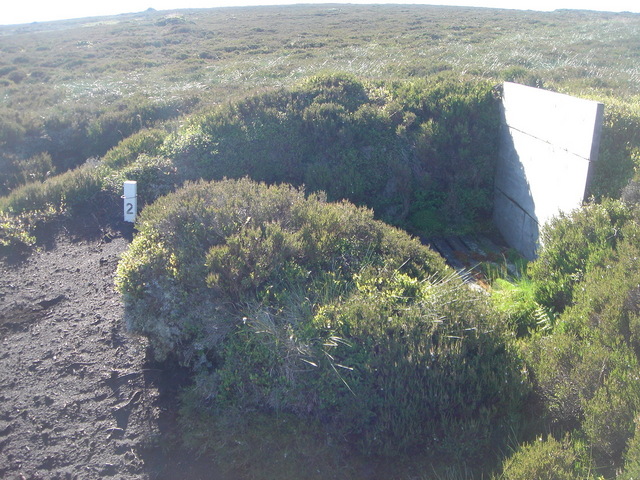 Grouse shooting stand to north of point.