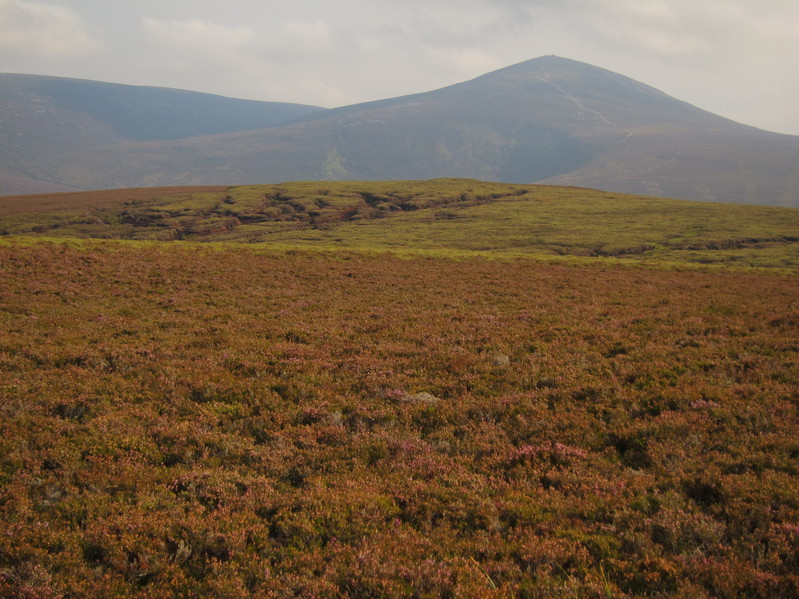 View of the confluence point in the foreground, looking south to Mount Keen