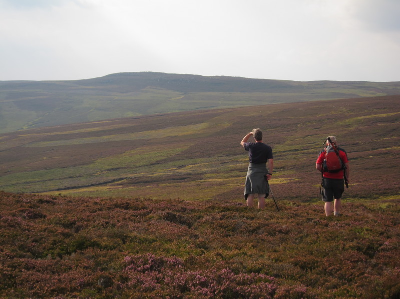 Returning from the confluence point towards the rock outcrop