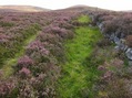 #7: Heather lined track leading up from Allt Dowrie