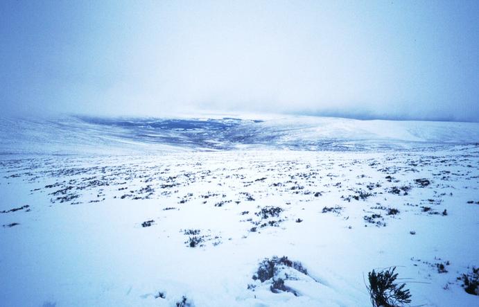 Looking North, down the glen towards the forests near Drumguish.