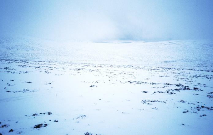 Westward towards the pass I used to get here.