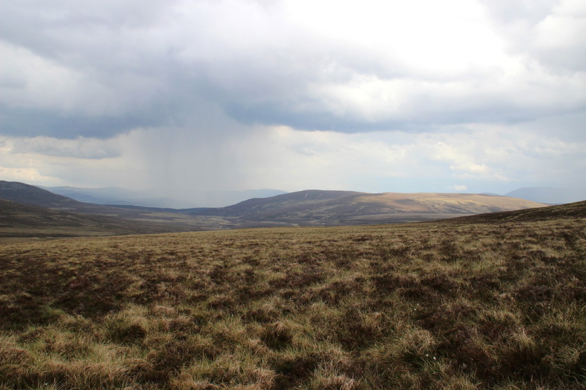 CP 57N 4W, looking north