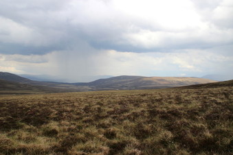 #1: CP 57N 4W, looking north