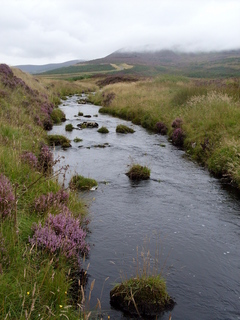 #1: Golspie burn