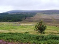 #4: Looking from road from the North East.  58°N 4°W is 500 metres away, in centre of picture