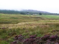 #8: View from confluence point towards North East