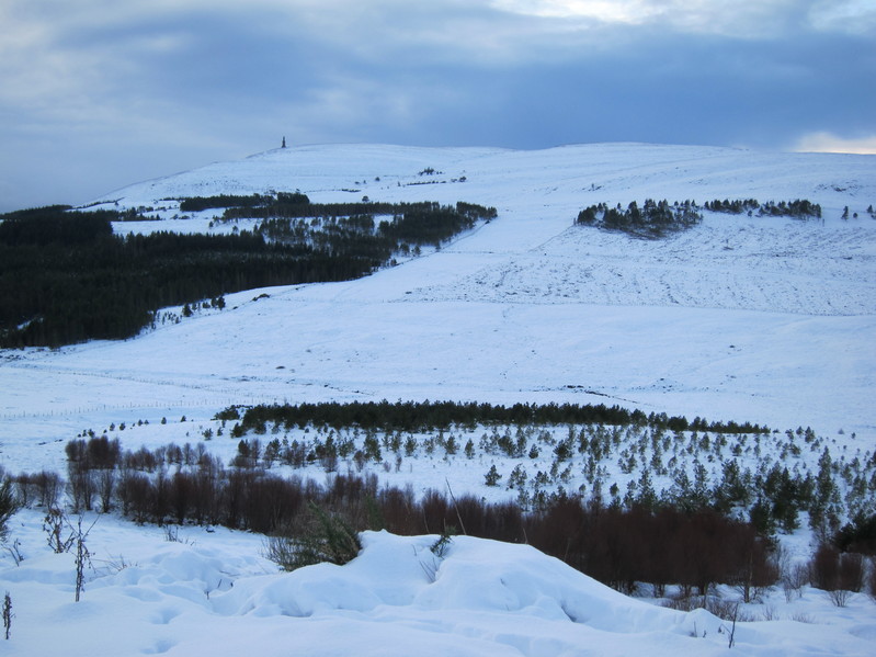 View looking south from the car park, towards the confluence point in the valley and Ben Bhraggie beyond