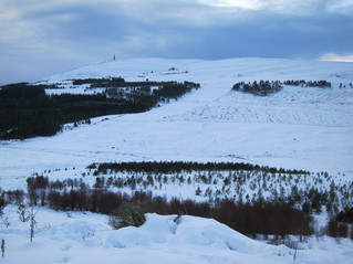 #1: View looking south from the car park, towards the confluence point in the valley and Ben Bhraggie beyond