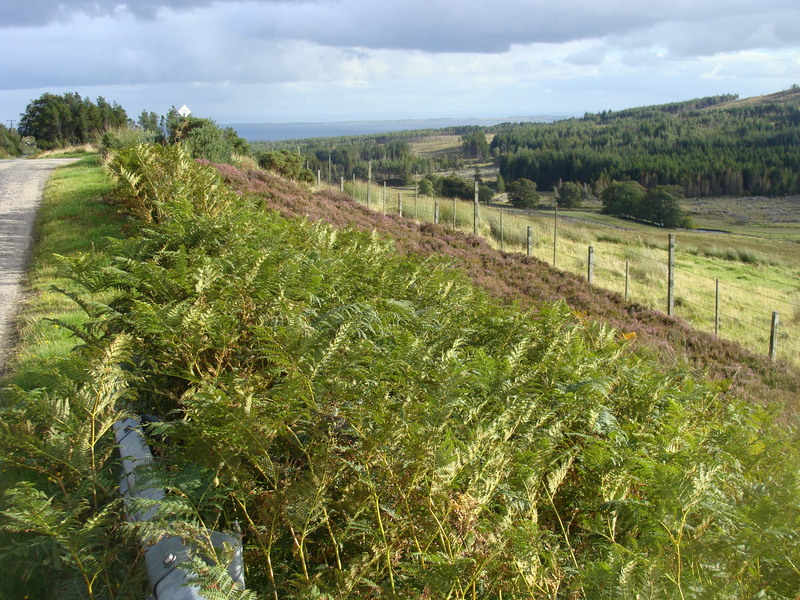 Looking east toward Dornoch Firth from the pull-off overlooking 58N 04W.