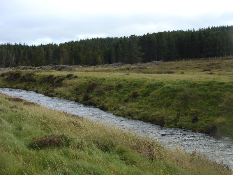 Looking south from 58N 04W.