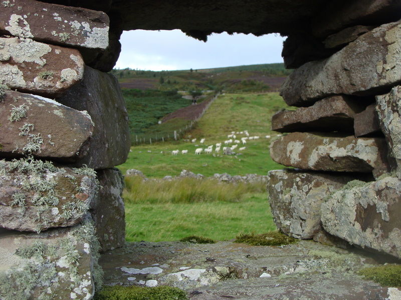 A framed view of the uphill starting point.