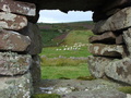 #7: A framed view of the uphill starting point.