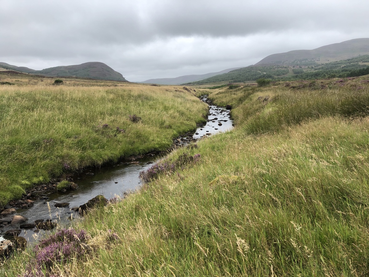 The Nearby Creek